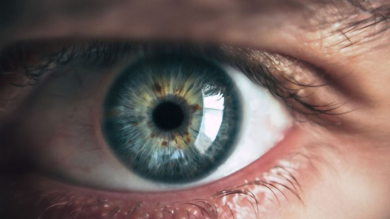 Short Protein Fragments Could Help Preserve Failing Sight