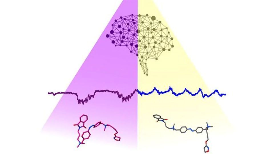 A Ray of Light Can Now Control Brain Chemical Release content piece image