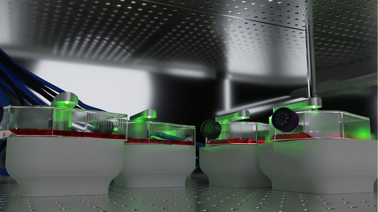CytoSMART Technologies Launches Two New Fluorescence Live-Cell Imaging Systems