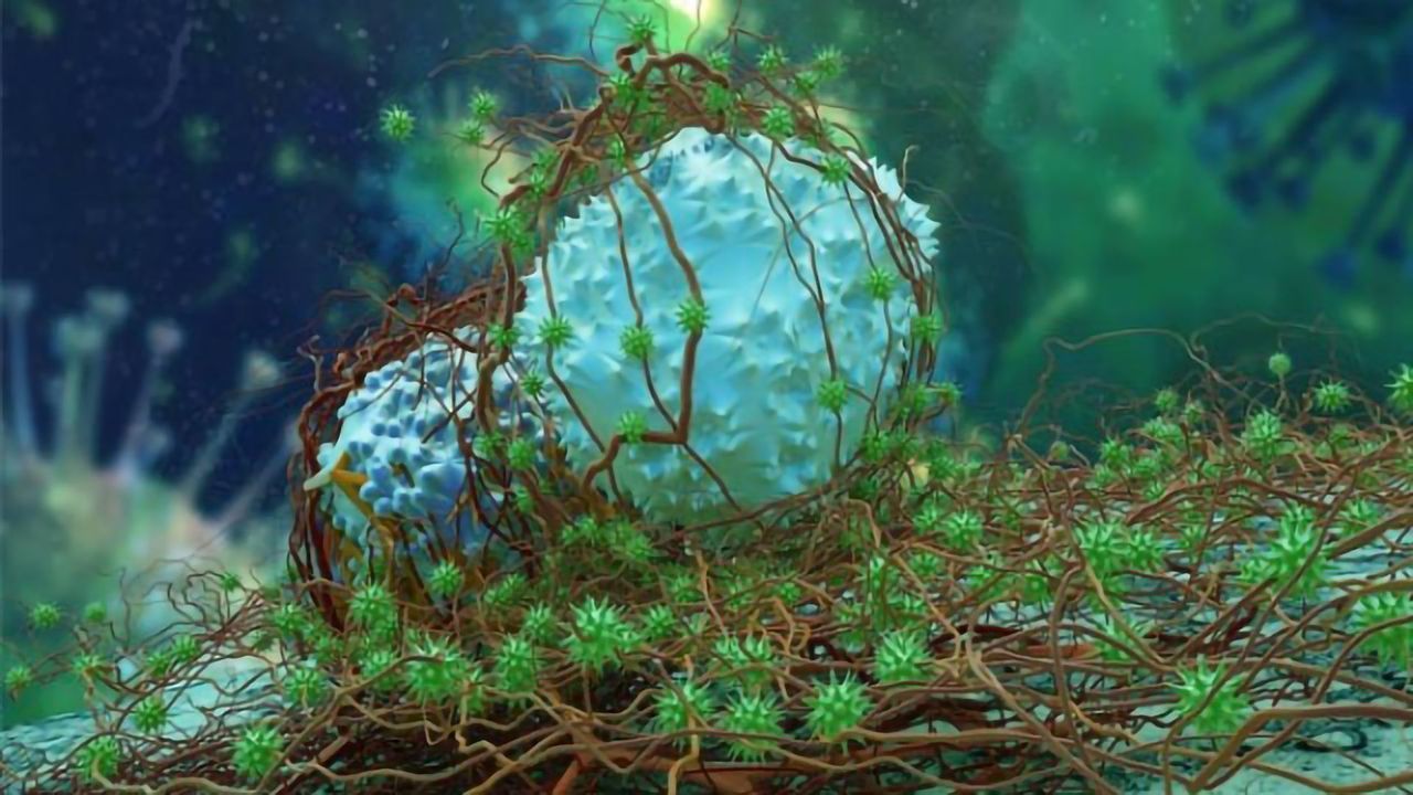 Exploiting Carcinogen-Exposed Cells To Uncover Cancer Treatments