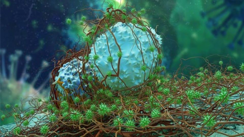 Exploiting Carcinogen-Exposed Cells To Uncover Cancer Treatments content piece image