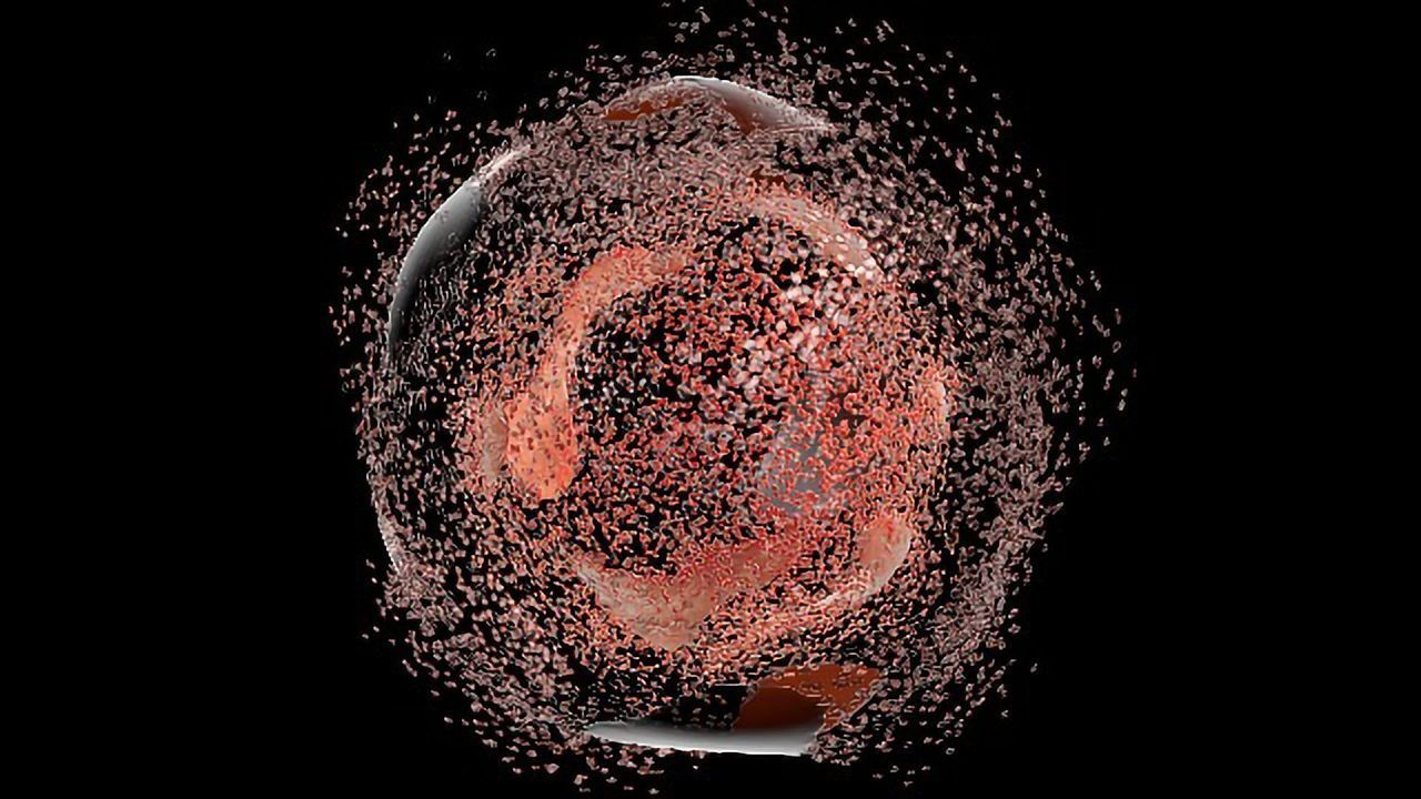 New Insights Into How Cells Transport Their Waste for Recycling