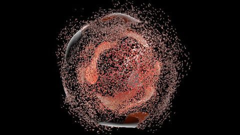 New Insights Into How Cells Transport Their Waste for Recycling