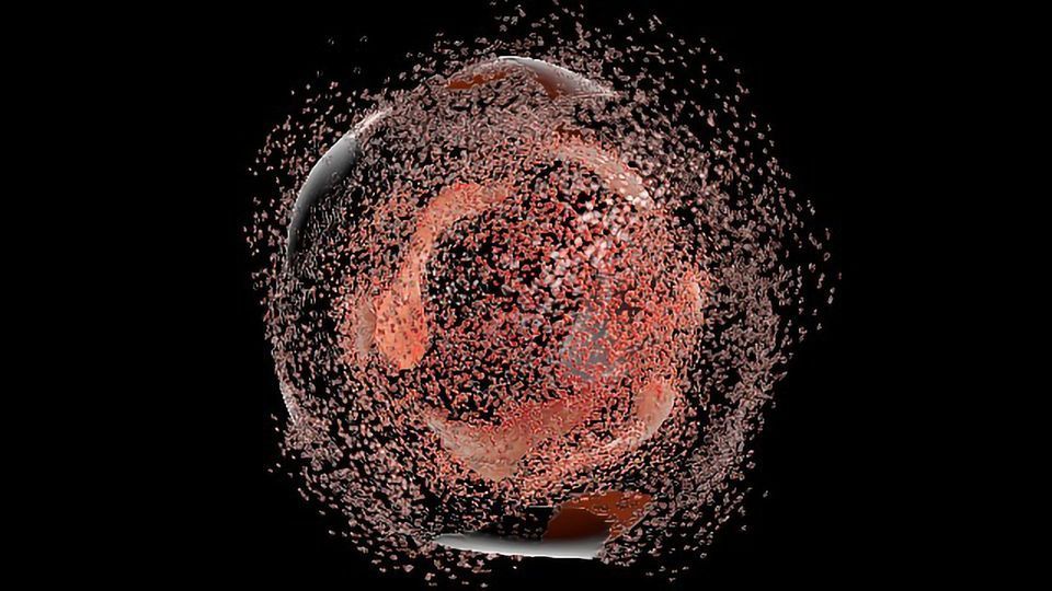 New Insights Into How Cells Transport Their Waste for Recycling content piece image
