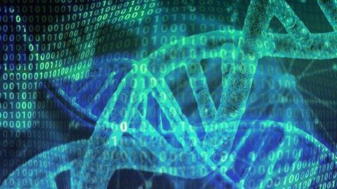 The Most Comprehensive RNA Atlas Ever