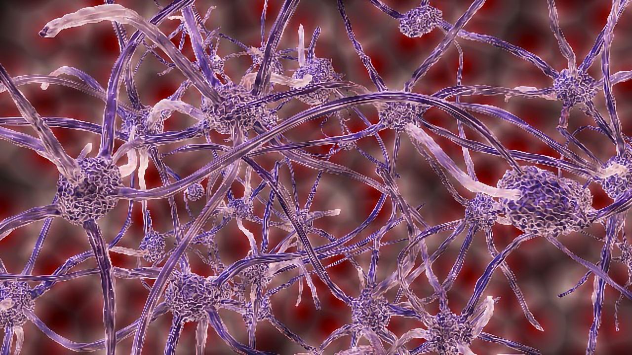 Revolutionizing the Science of Nerve Repair and Regeneration