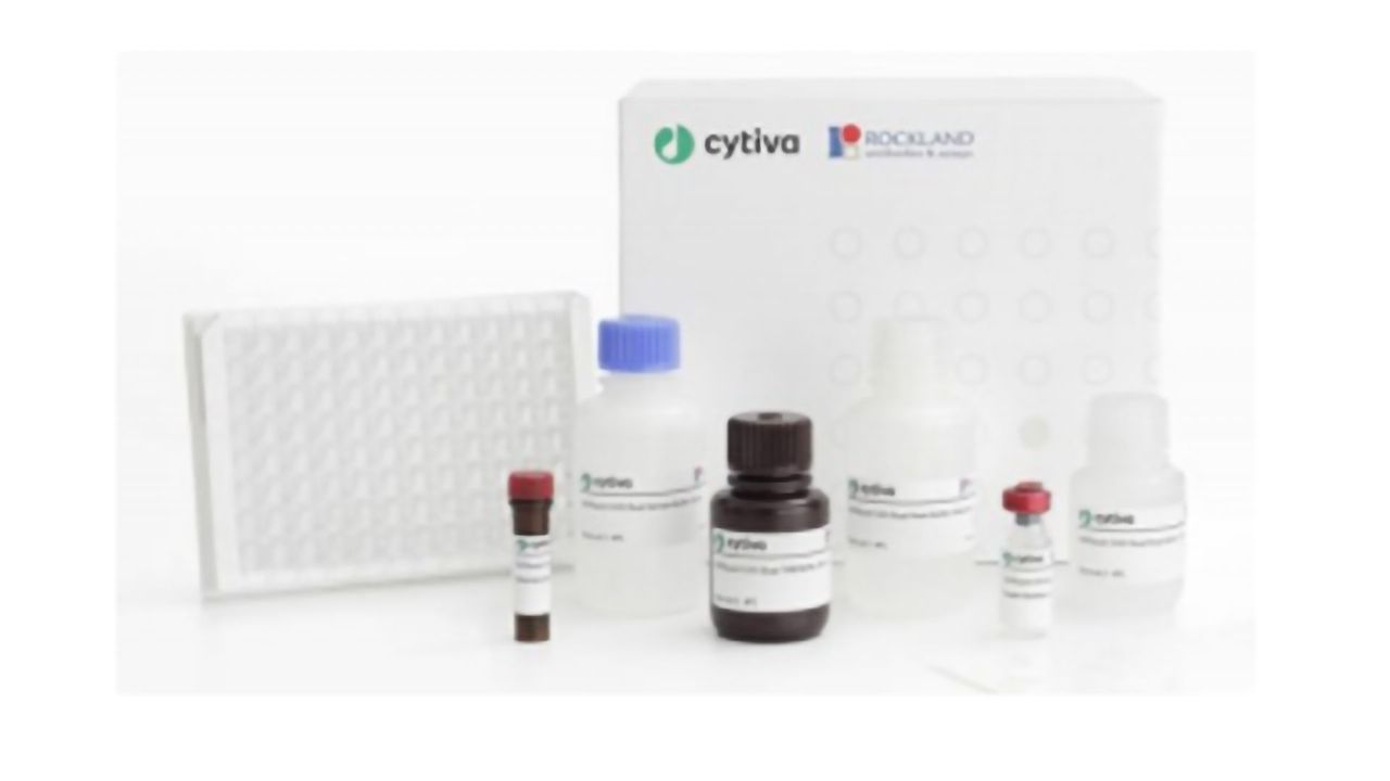 Quantify and Characterize Host Cell Protein With Confidence