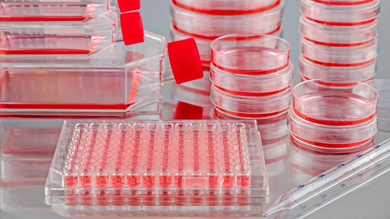 The Shift to Digitization in Cell Culture Monitoring