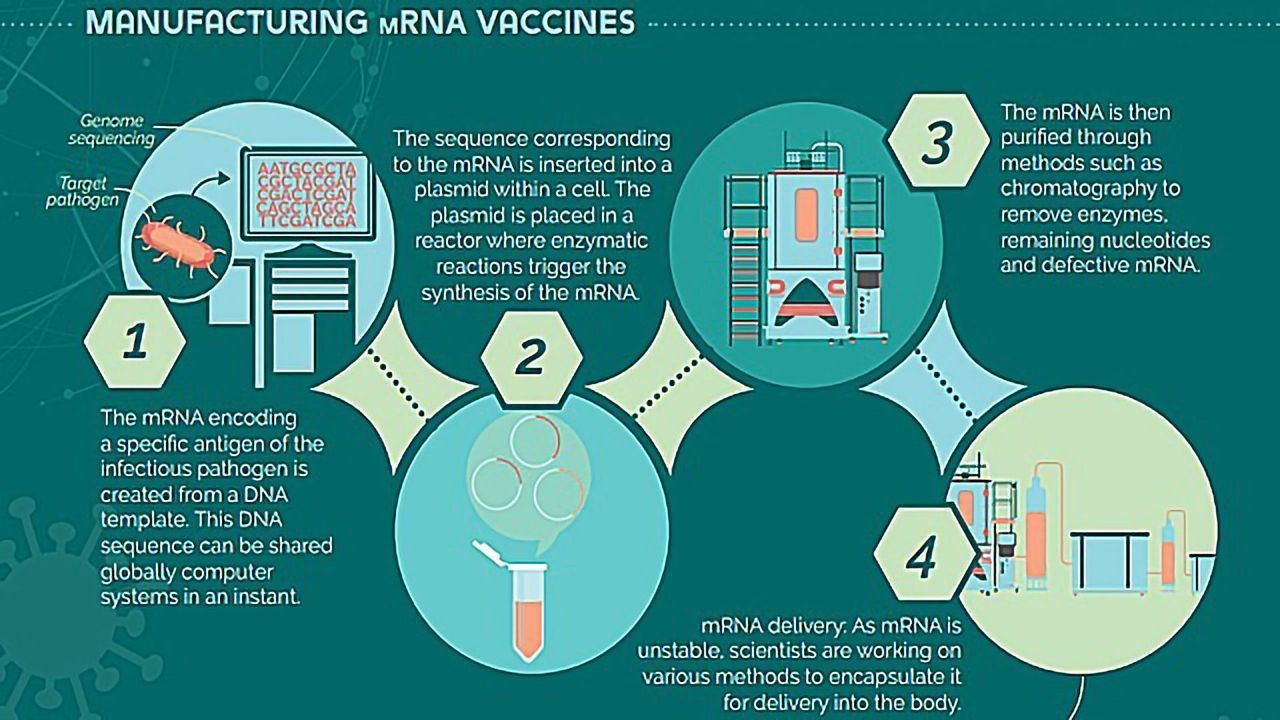 Vaccine Development