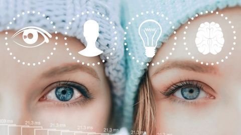 New Type of Memory Identified by Behavioral Researchers