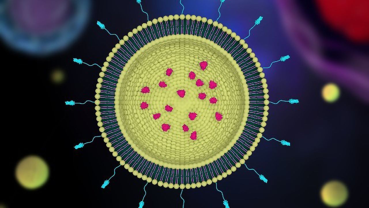 Optimizing Nanoparticle Drug Delivery Systems Using Microfluidics