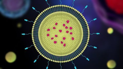 Optimizing Nanoparticle Drug Delivery Systems Using Microfluidics