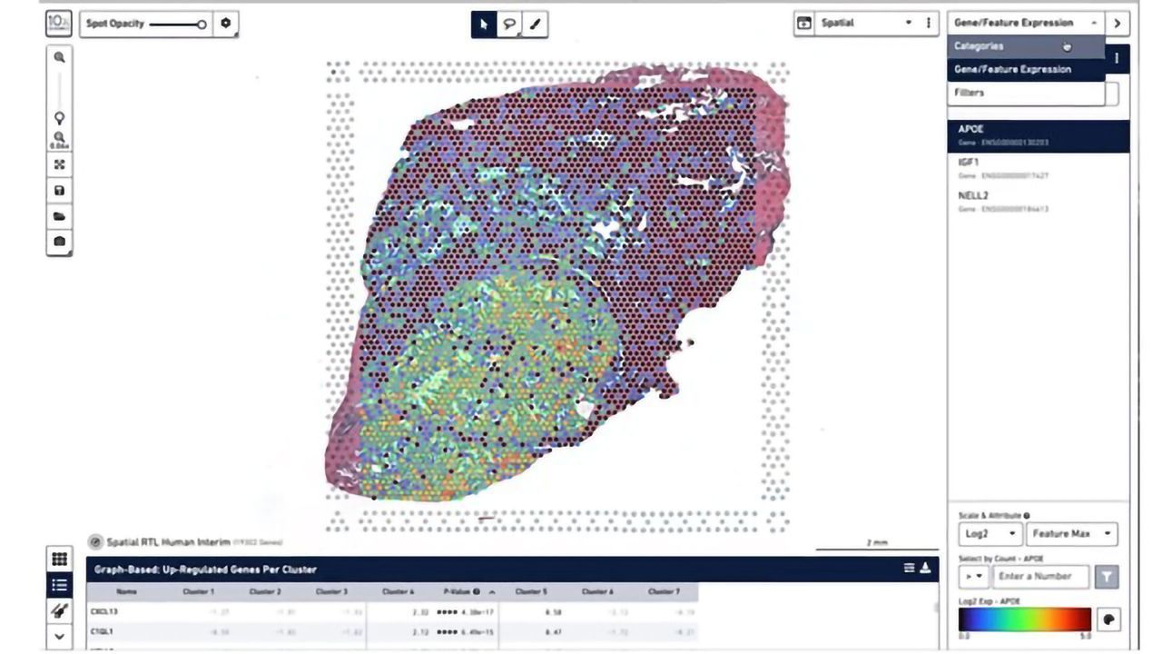10x Genomics Unlocks Whole Transcriptome Analysis in FFPE Tissues With New Visium Assay