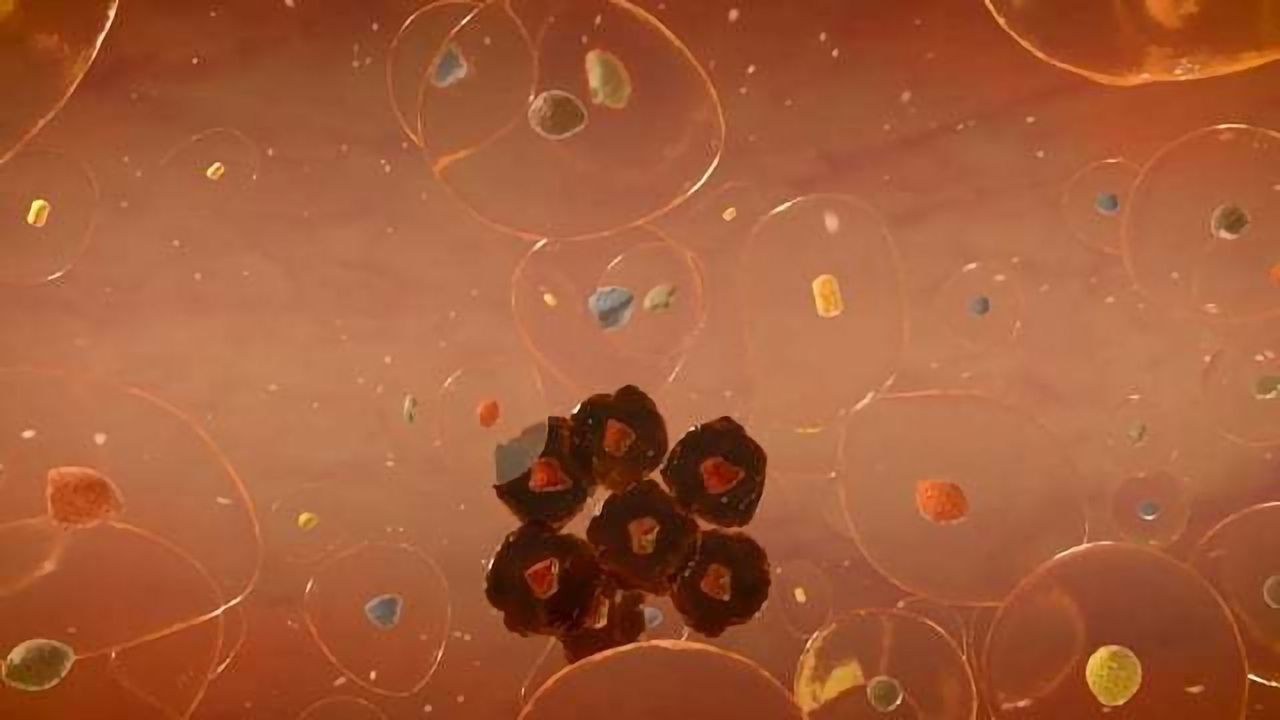 timsTOF SCP - Expanding the Horizons of Single Cell Research