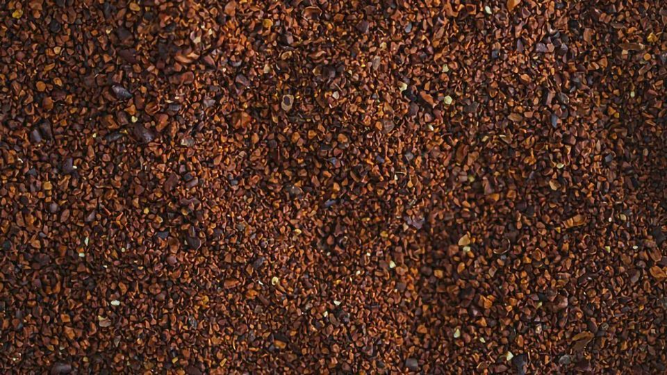 Eating Pure Cocoa May Improve Vision in Daylight content piece image