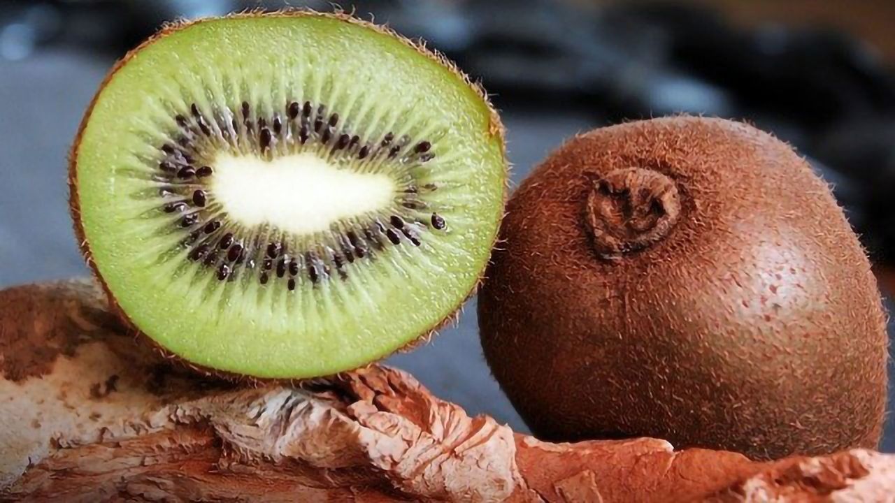 Closely Related Kiwi Bacteria Behave Very Differently