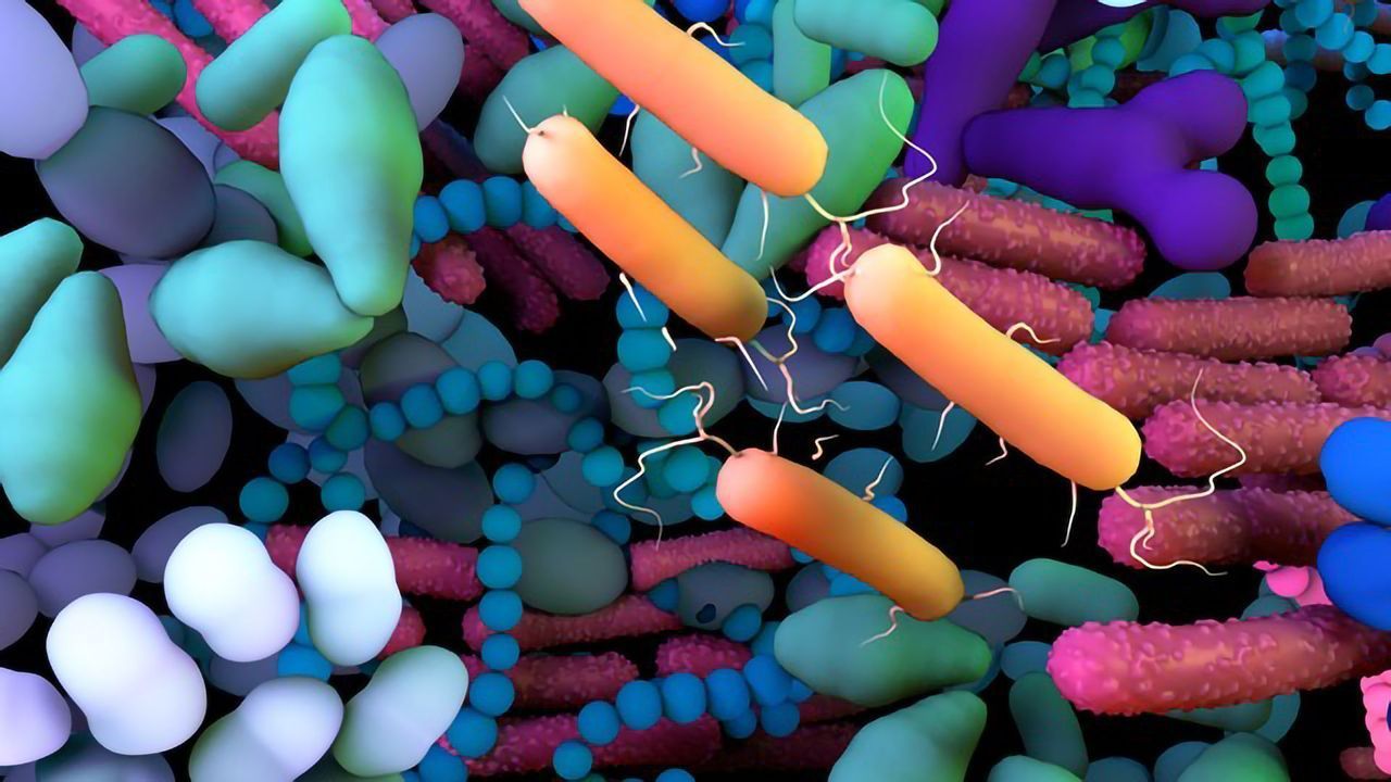 Sequencing the Microbiome: Five Recent Advances