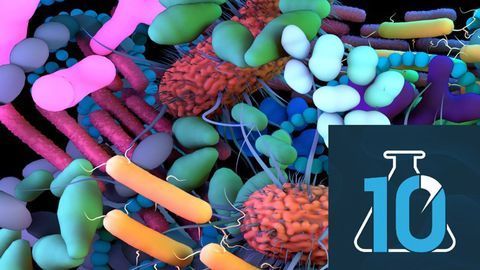 Hidden Secrets of the Human Microbiome With Alexandre Almeida
