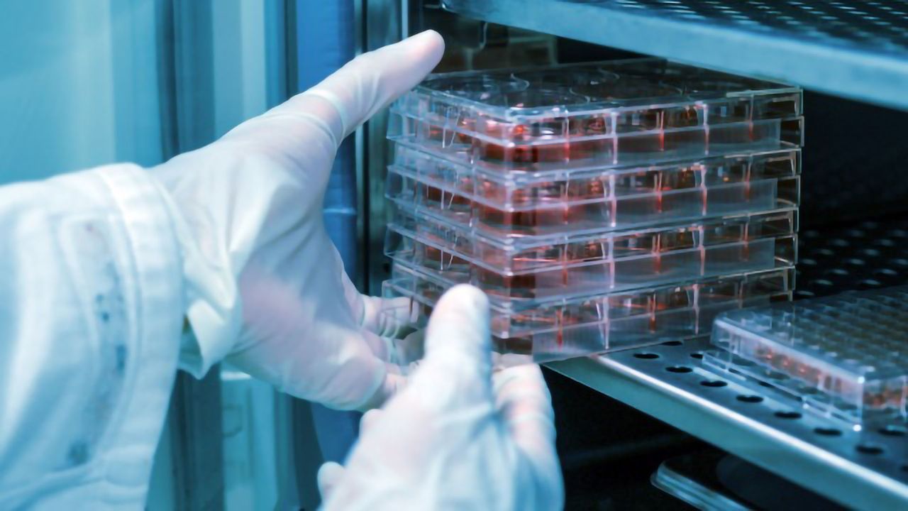What Is Your CO<sub>2</sub> Incubator Telling You?
