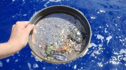 Tracking Ocean Microplastics From Space