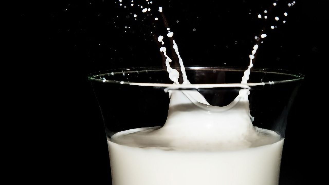 Scaling Up the Production of Cell Cultured Human Milk