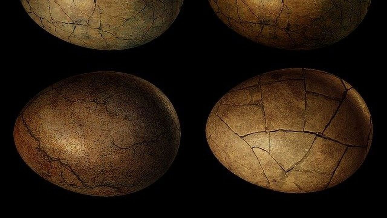 Fossilized Dinosaur Eggshells Give Up Their Molecular Secrets