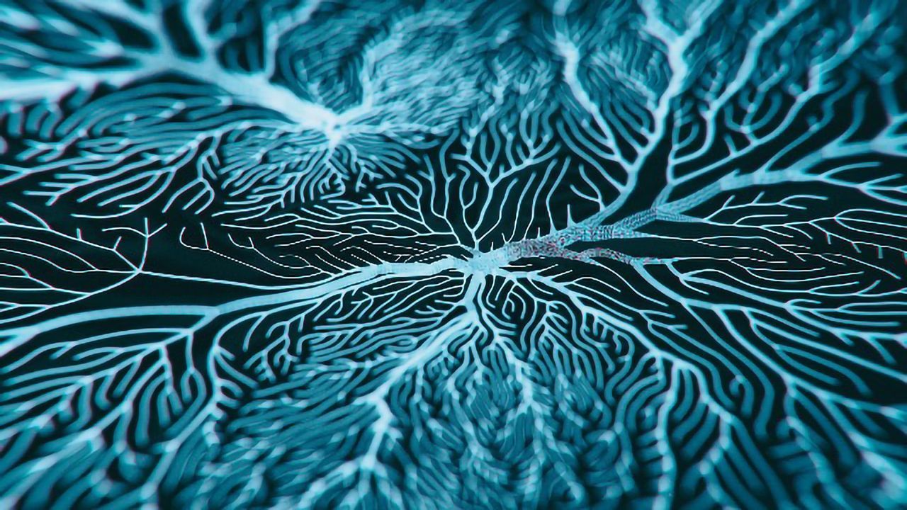 Mouse Study Shows Mechanism Link Between Autism and Schizophrenia