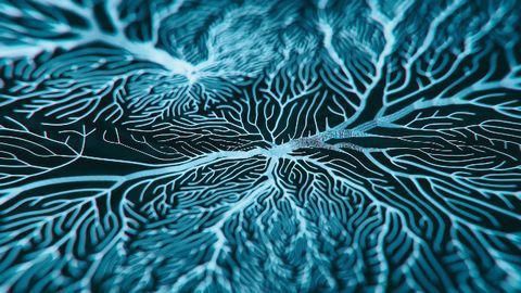Mouse Study Shows Mechanism Link Between Autism and Schizophrenia