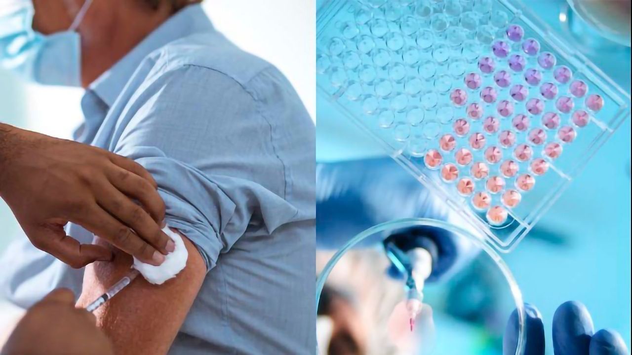 <i> In Vivo</i> vs <i> In Vitro</i>: Definition, Pros and Cons