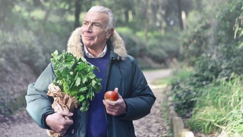Our Sense of Smell in Old Age Is Worse for Mushrooms, But Not For Raspberry