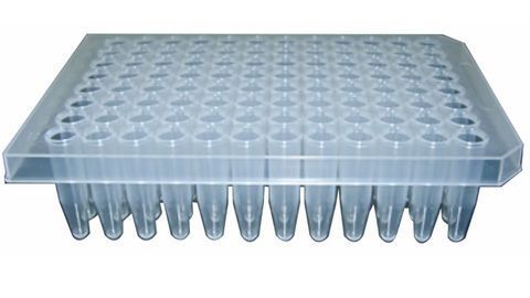 Optimized Tube Plate for Enzyme Studies