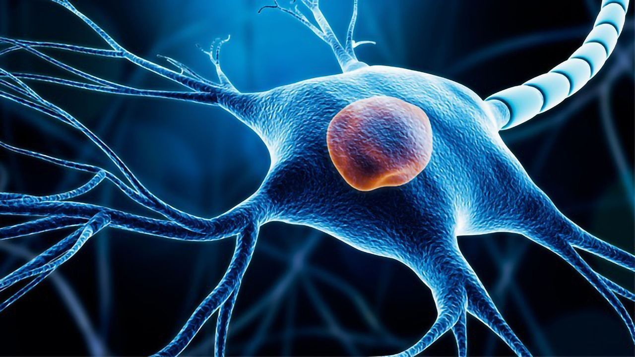 Cryopreservation Media helps in Development of a Cell Therapy for Parkinson’s Disease