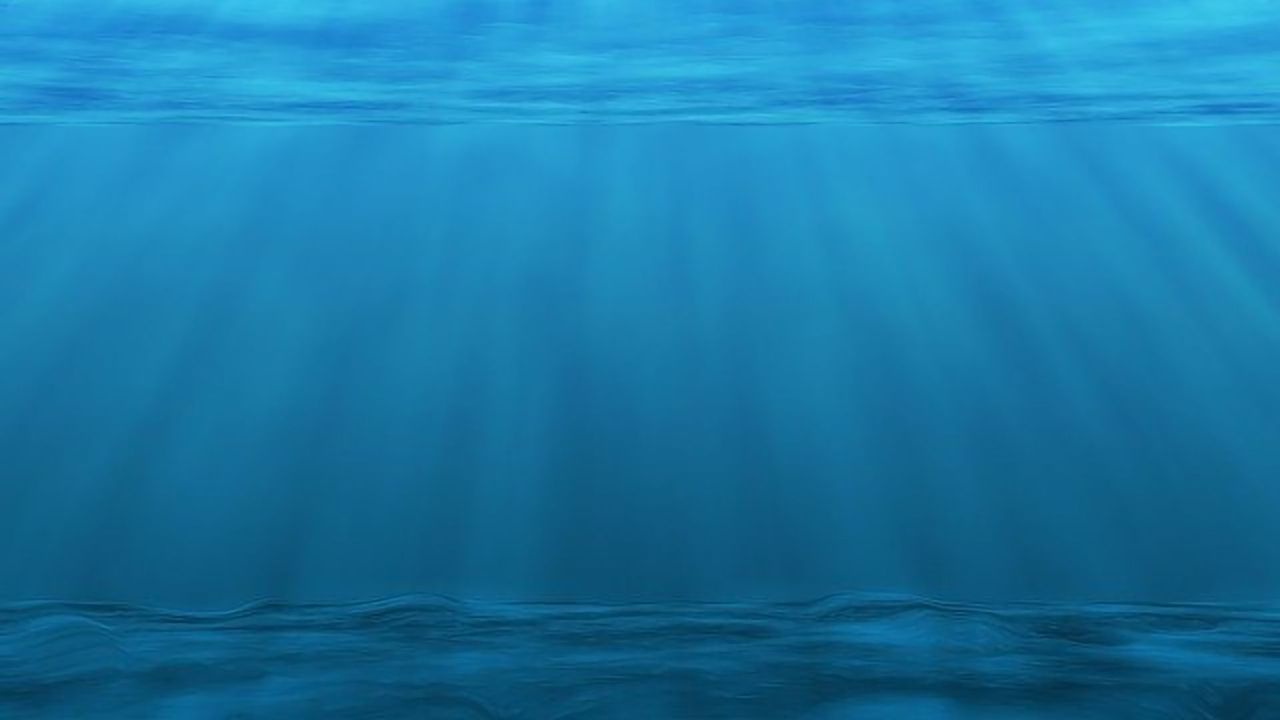 Vital Microbial Nitrogen Fixation Can Happen on "Marine Snow"
