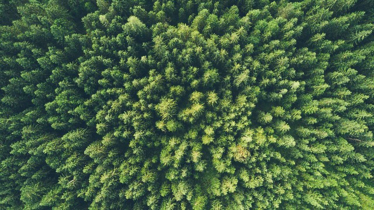 Motivation for Environmental Action Comes From Personal Experience