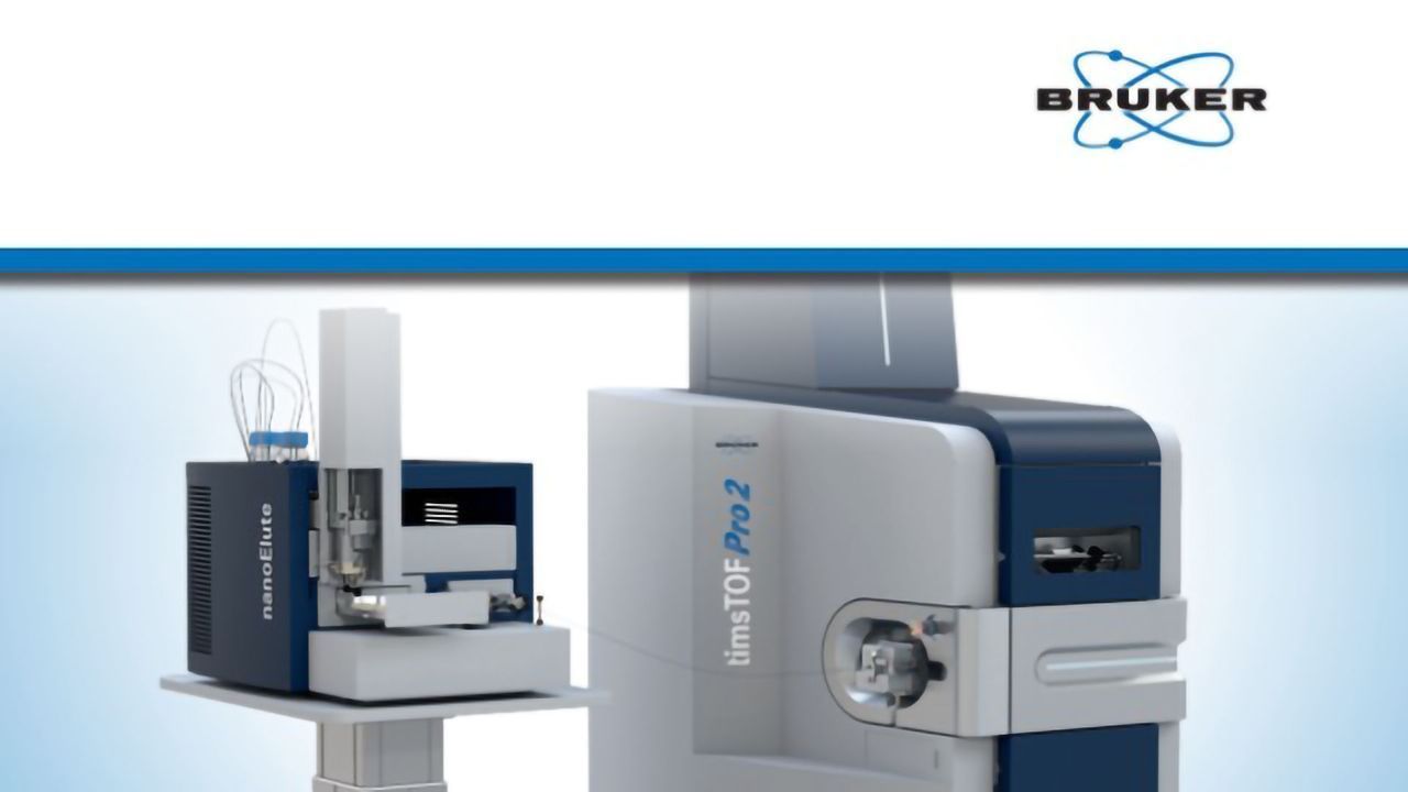 Shotgun Proteomics for Unbiased Quantification