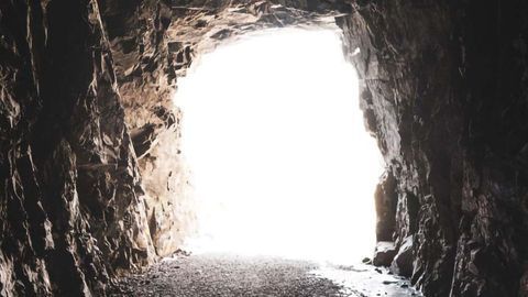 Near-Death Experiences May Have Evolved To Protect Us From Predators
