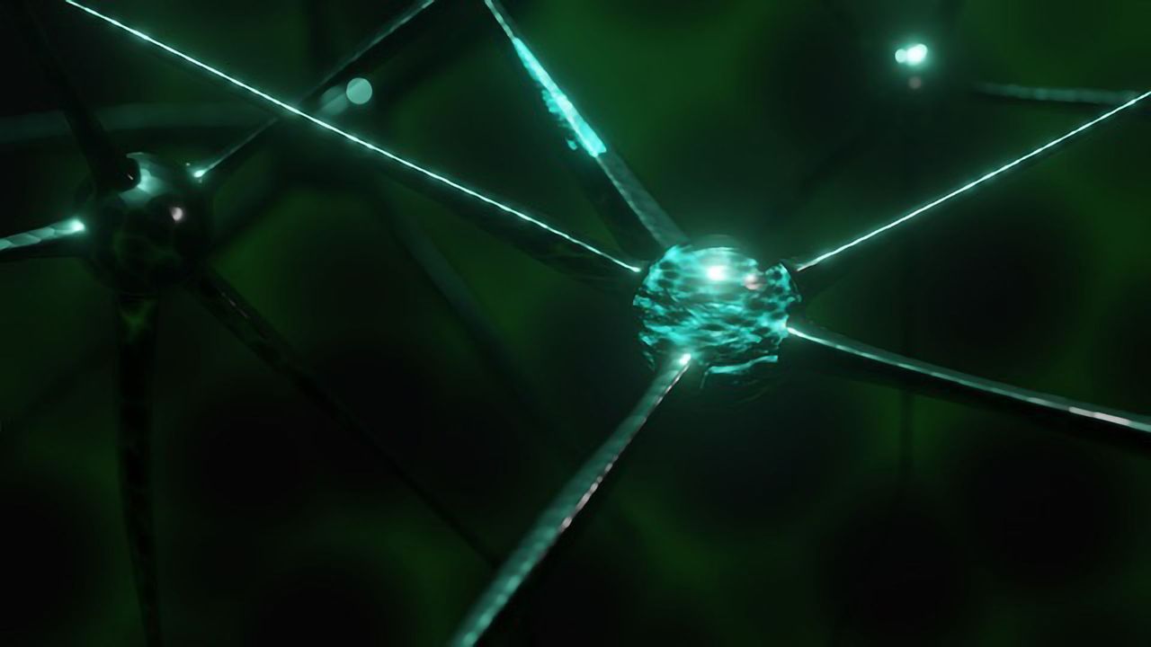 New Class of Neuron Helps Remember Familiar Faces