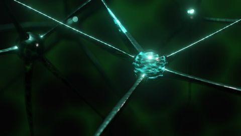 New Class of Neuron Helps Remember Familiar Faces