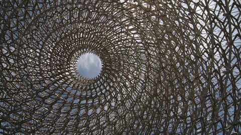 3D-Printed Scaffolds Support Soft Tissue Repair