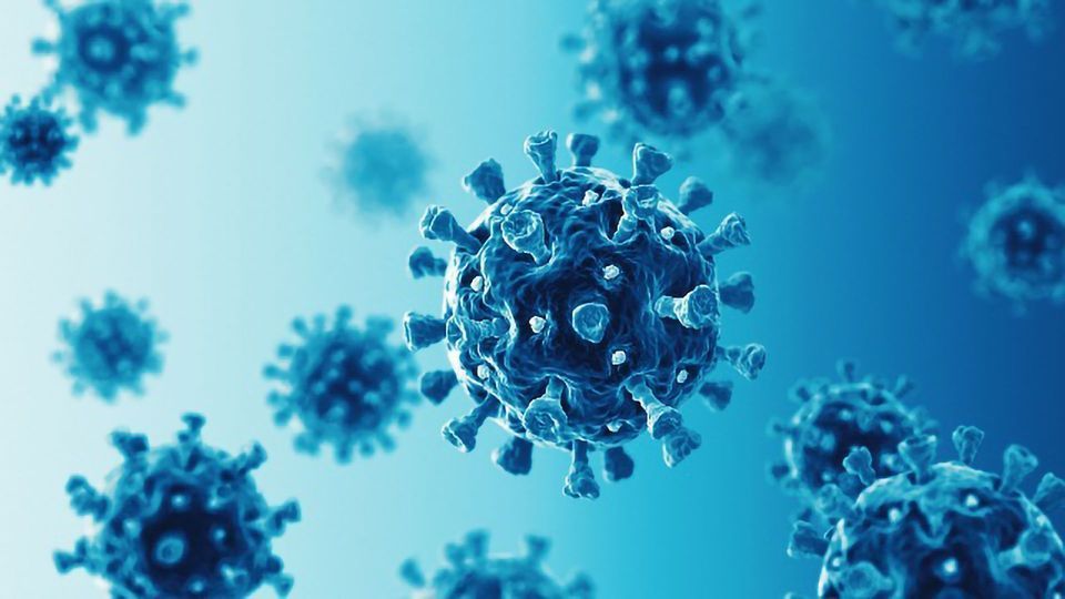 A Vaccine for All Coronaviruses content piece image