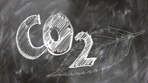 Converting Carbon Dioxide Into Valuable Fuel