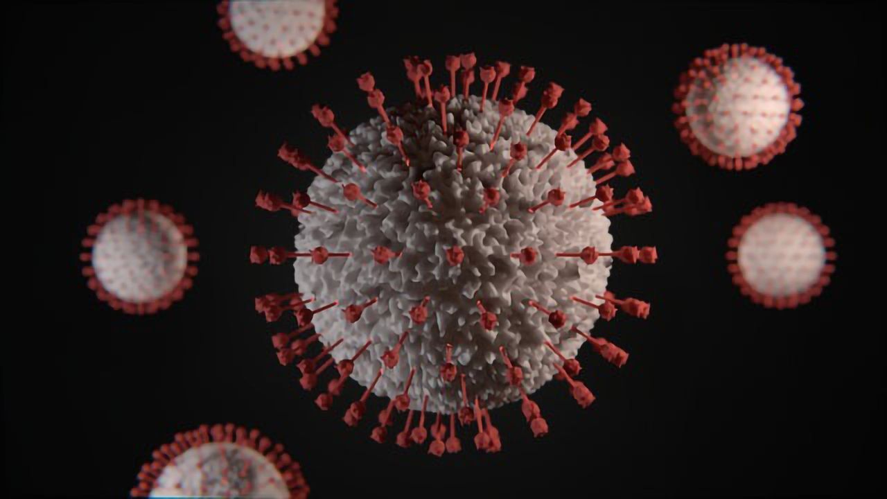 Scientists Uncover Features of T Cells That Predict Recovery From Severe COVID-19
