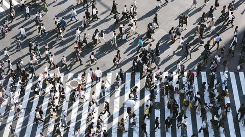 More Diversity Needed in Immunogenomics