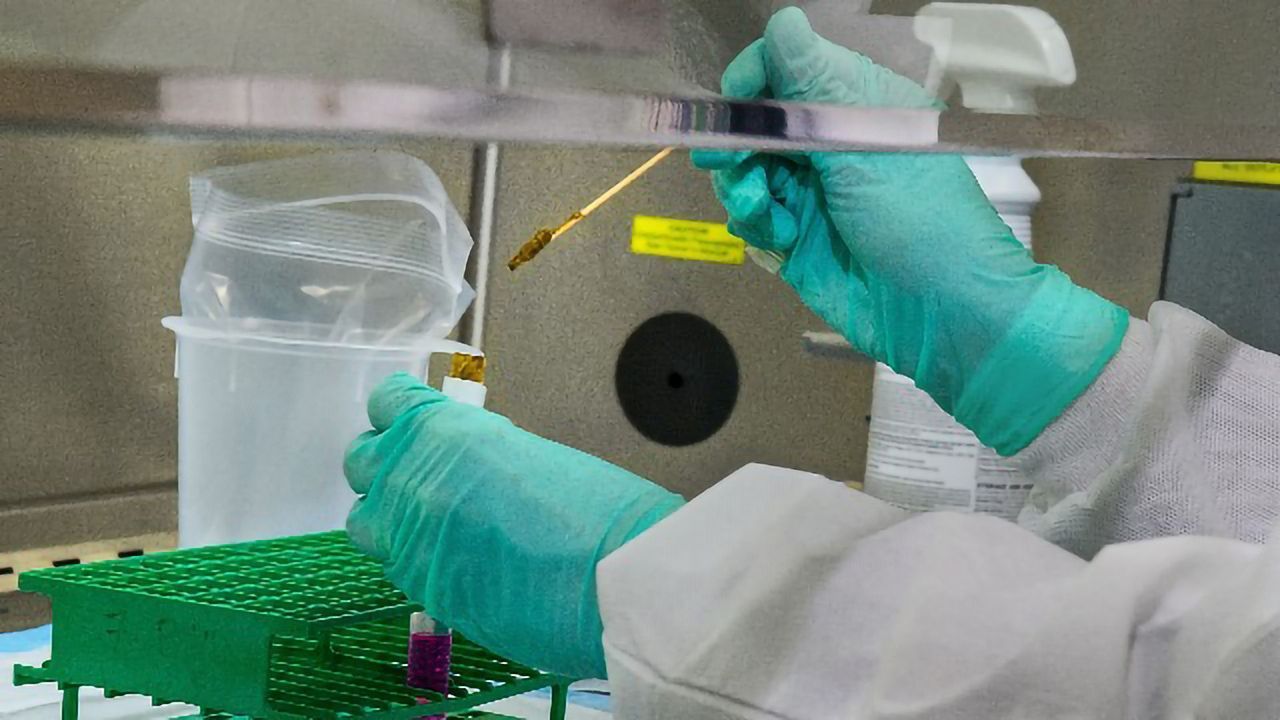 Could a Stool Transplant Help Recovery in COVID-19 Patients?