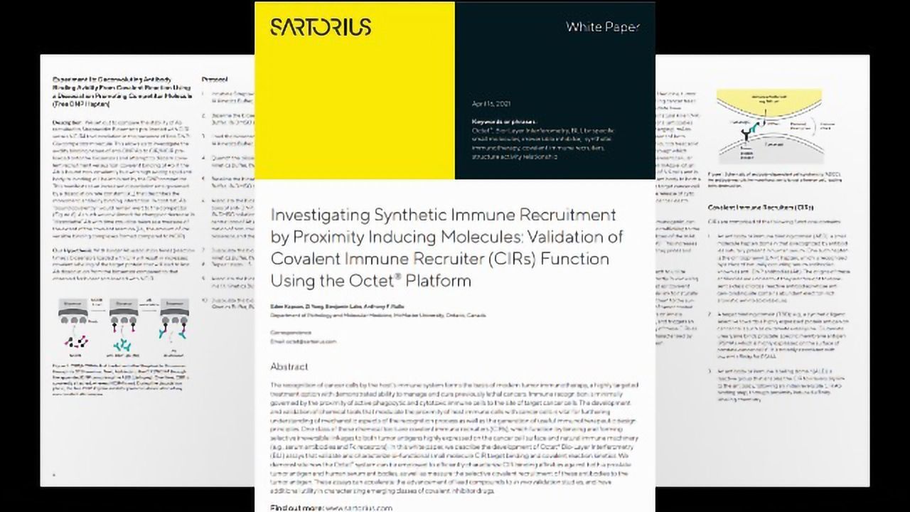 Investigating Synthetic Immune Recruitment by Proximity Inducing Molecules