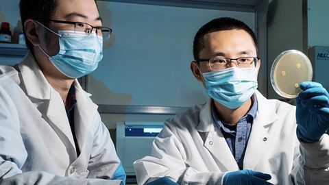 Team Isolates Natural Catalysts for Better Drug Synthesis