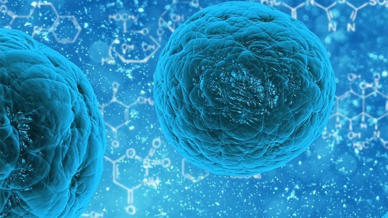 iPSCs Used To Develop Cell Therapies for Colorectal Cancer