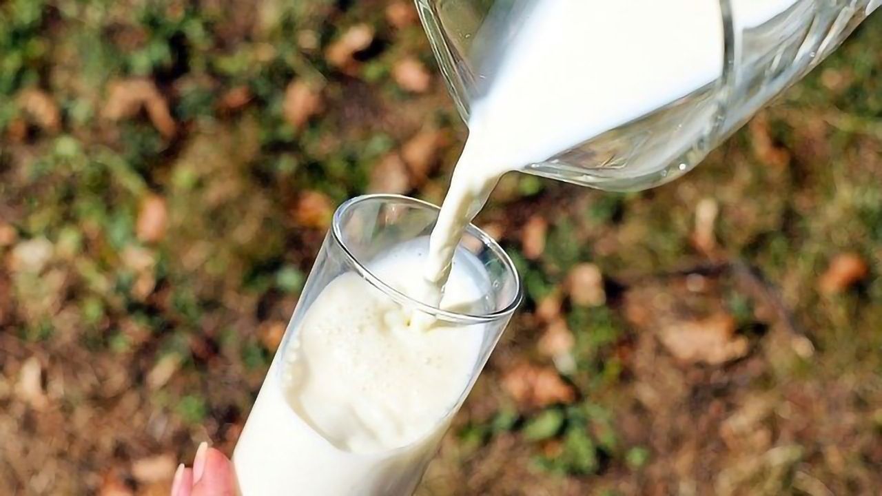 Biosensor Developed To Detect Veterinary Drug in Food