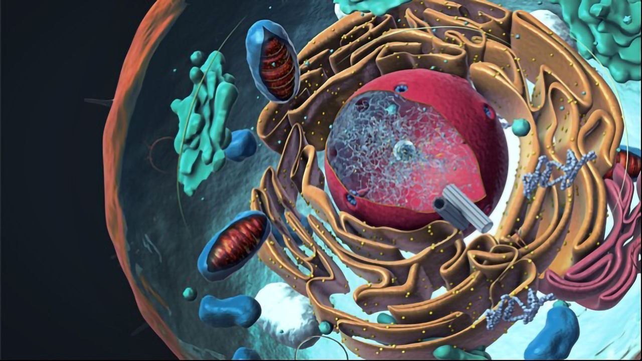 DNA Analysis at the Single-Nuclei Level
