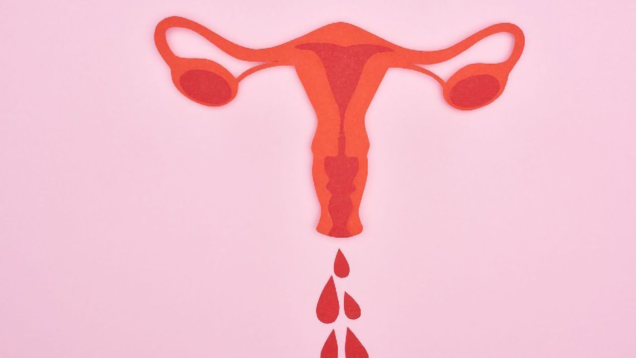 COVID-19, Vaccines and the Menstrual Cycle